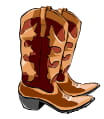 Cowboy boots