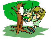 tree hiker